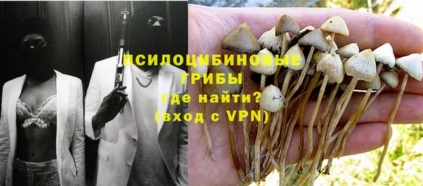 mix Горнозаводск