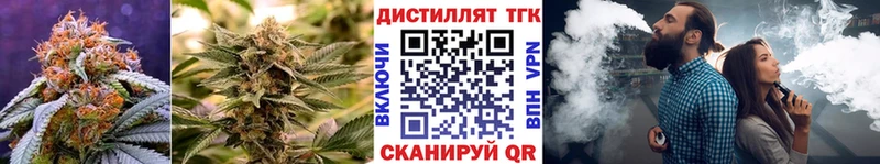 Купить  Рассказово  Дистиллят ТГК Wax 