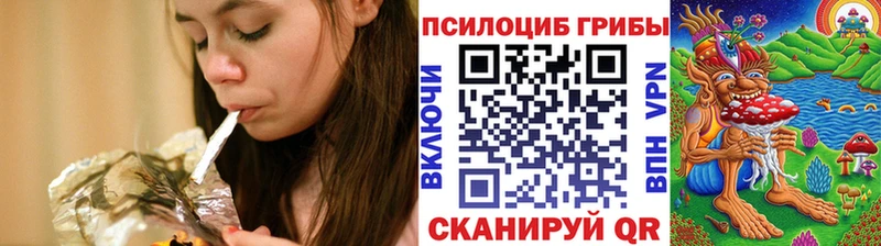 Купить закладки  Рассказово  Галлюциногенные грибы Magic Shrooms 